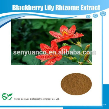 Heißer Verkauf Blackberry Lily Rhizome Extrakt